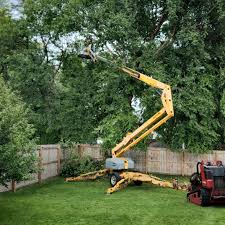 Best Leaf Removal  in Browntown, PA